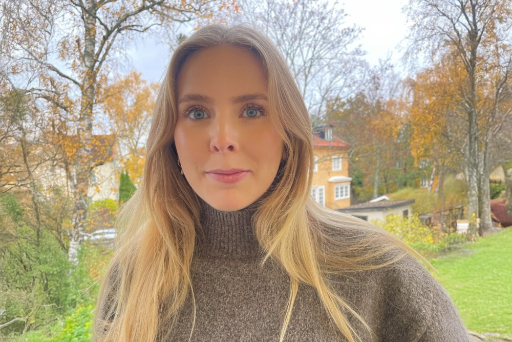 Frankrikes utbildningssystem,från grundskolan till högre studier