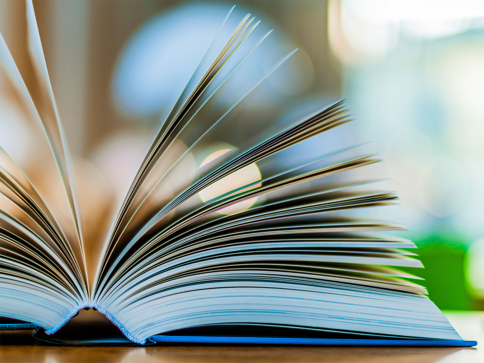 En uppslagen bok med bläddrande sidor.