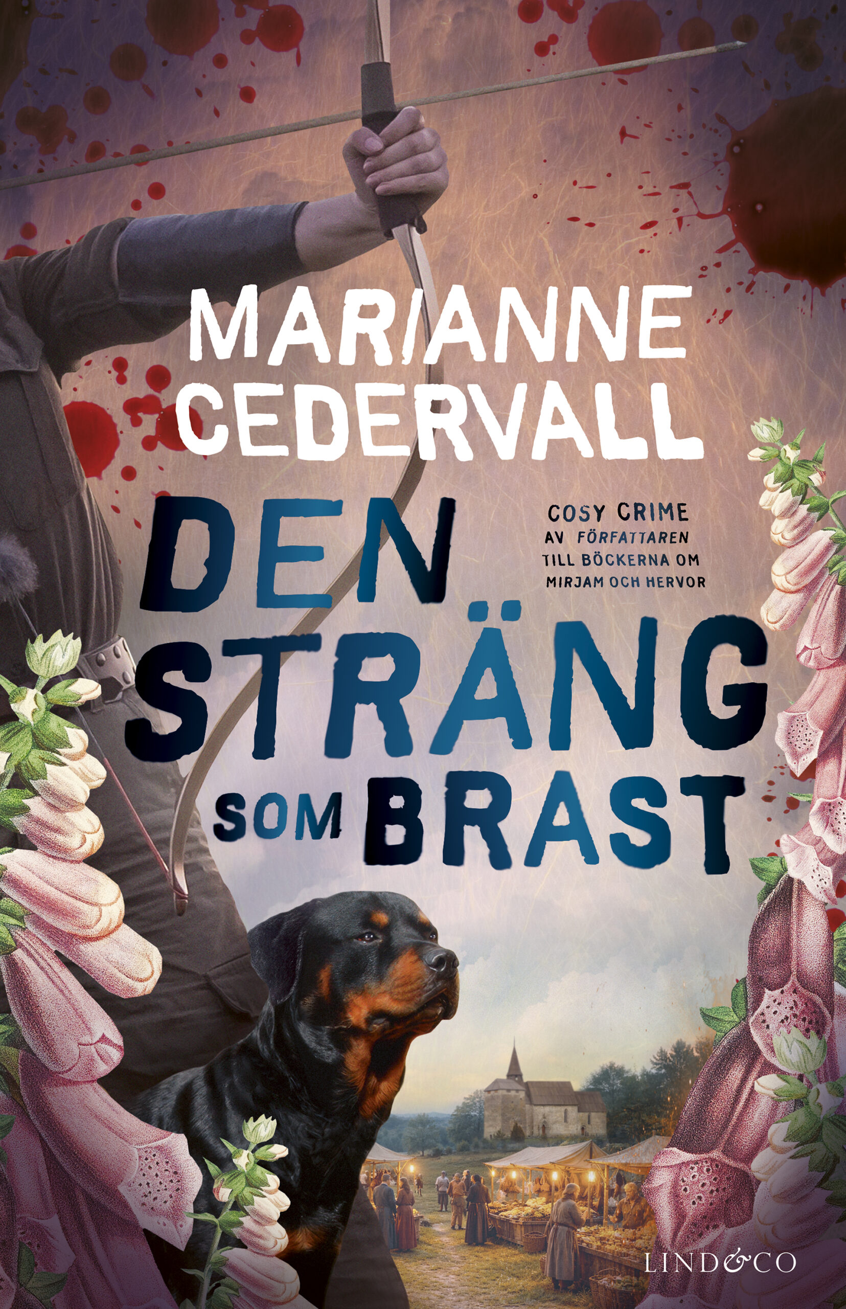 Omslag till boken.