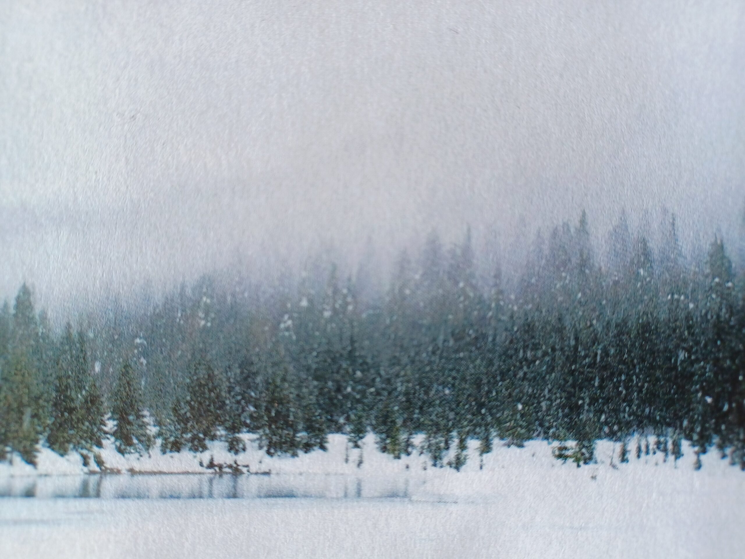 Bild i svartvitt. Horisontlinje med granskog, snö och is framtill och dimmig sluttning, berg bakom.
