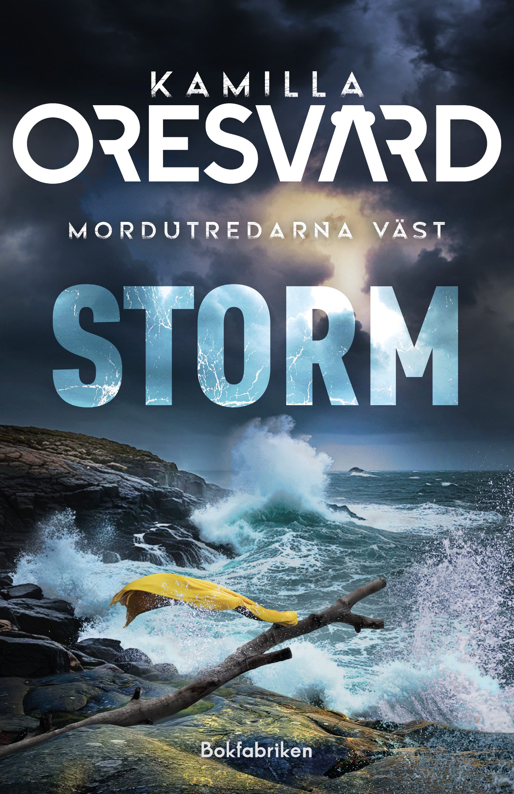 Omslag till boken.